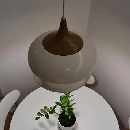 公寓 Tam Skanderbeg Square Center No3 地拉那